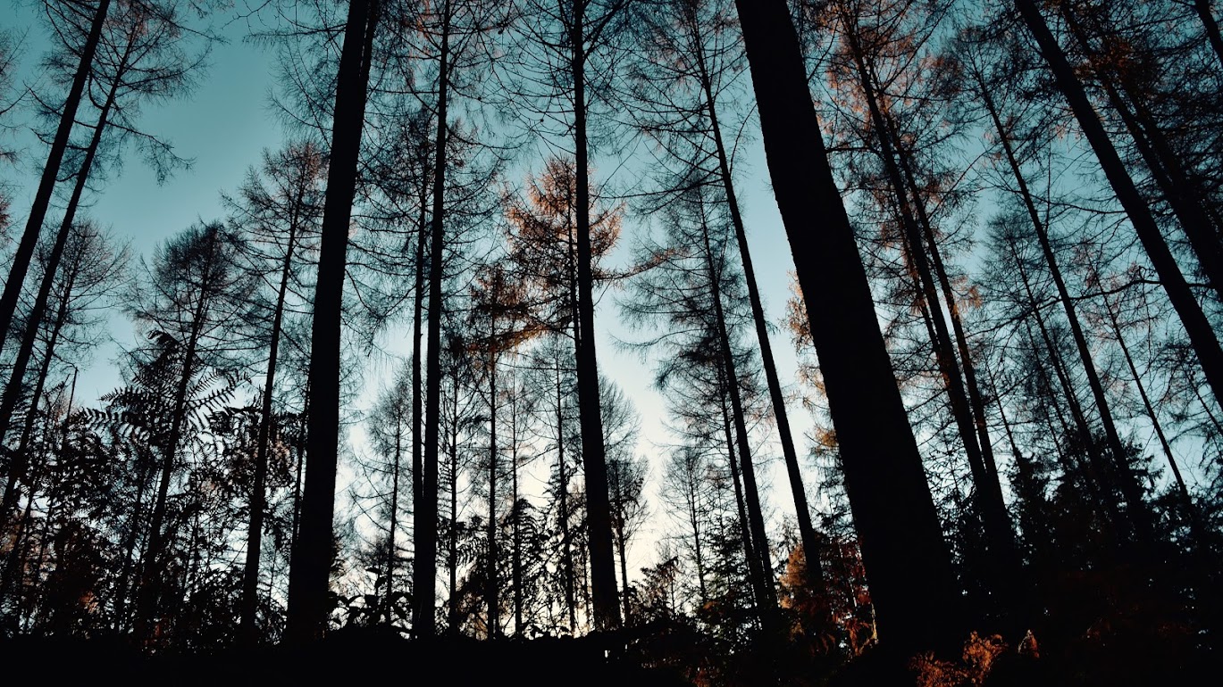 Vision Quest Summer 2022 Diary